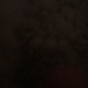 Meet your Posher, Evelyn